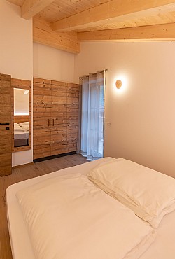 Alpinia - 