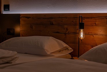 Alpinia - 
