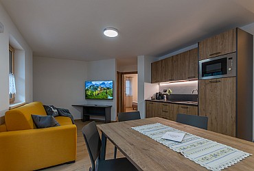 Alpinia - 
