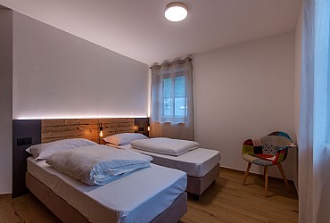 Alpinia - 