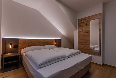 Alpinia - 
