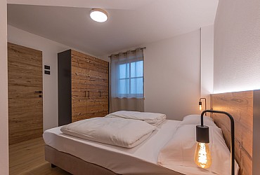 Alpinia - 