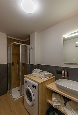 Alpinia - 