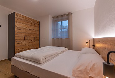 Alpinia - 