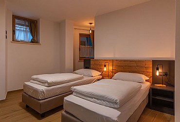 Alpinia - 