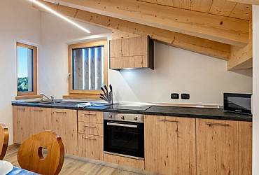 Apartment in Soraga di Fassa - Type 1 - Photo ID 11797