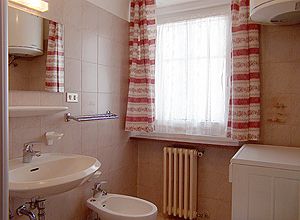 Apartment in Campitello di Fassa. First of two bathrooms with shower and wall-mounted hairdrier.