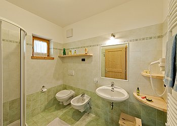 Appartamento a Campitello di Fassa - App Rosengarten 4 /5 - ID foto 1659