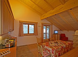 Appartamento a Canazei. Tipica mansarda con soggiorno e angolo cottura con pavimento in larice e tetto in abete, balcone.
Schermo da 32 pollici, Tv satellitare, internet wirless, cassaforte.