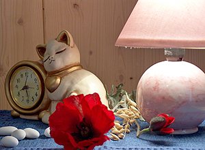 Piso - Canazei - PIK - Photo ID 2118