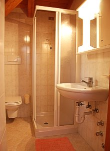 Apartment in Moena. Shower room with toilet and washbasin