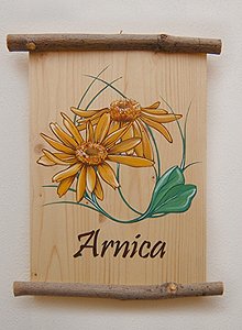 Appartamento a San Giovanni di Fassa - Vigo - Arnica **** - ID foto 2789