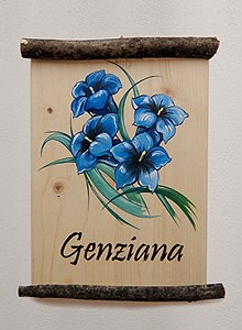 Appartamento a San Giovanni di Fassa - Vigo - Genziana **** - ID foto 2807