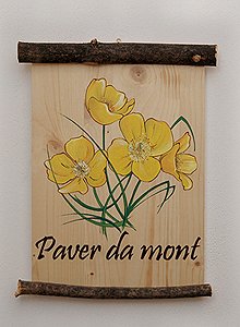 Appartamento a San Giovanni di Fassa - Vigo - Paver da mont **** - ID foto 2813