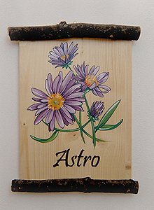 Appartamento a San Giovanni di Fassa - Vigo - Astro **** - ID foto 2819