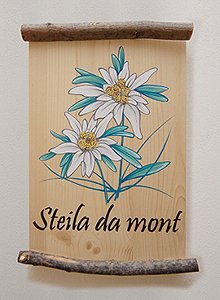 Appartamento a San Giovanni di Fassa - Vigo - Steila da mont **** - ID foto 2834