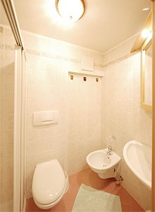 Apartamncie - Moena - Typ 1 - Photo ID 3372