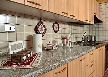 Apartment in San Giovanni di Fassa - Pozza - 1 Rotic - Photo ID 491