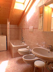 Residences in Campitello di Fassa. Bathroom of the apartment nr. 5, in the hall, with washing mashine.