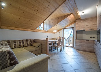 Piso - San Giovanni di Fassa - Pozza - Stella alpina - Photo ID 6419
