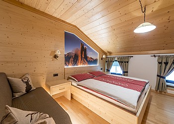 Piso - San Giovanni di Fassa - Pozza - Stella alpina - Photo ID 6425