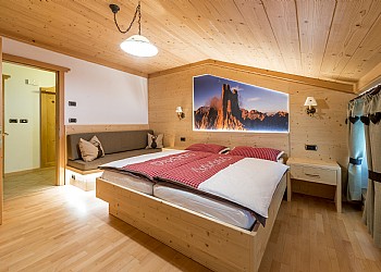 Piso - San Giovanni di Fassa - Pozza - Stella alpina - Photo ID 6426