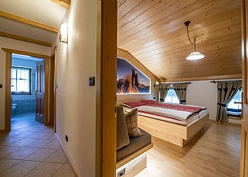 Piso - San Giovanni di Fassa - Pozza - Stella alpina - Photo ID 6427