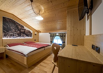 Piso - San Giovanni di Fassa - Pozza - Stella alpina - Photo ID 6428