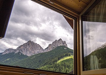 Piso - San Giovanni di Fassa - Pozza - Stella alpina - Photo ID 6430