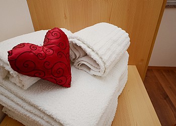 Ciasa Alpe - 