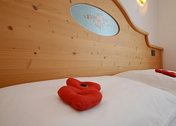 Ciasa Alpe - 