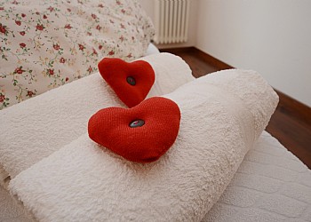 Ciasa Alpe - 
