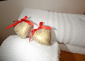Ciasa Alpe - 
