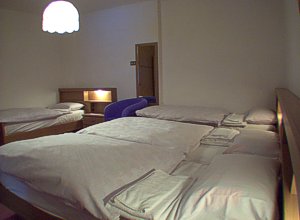 Apartment in Canazei - apt. 71 - Photo ID 723