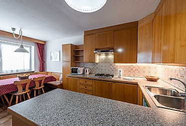 Apartment in Canazei. kitchenette with microwave oven and dishwasher