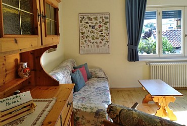 Appartamento a Moena - bilo - ID foto 7730