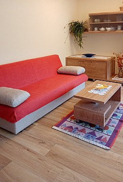 Appartamento a Moena - Rancolin - ID foto 8416