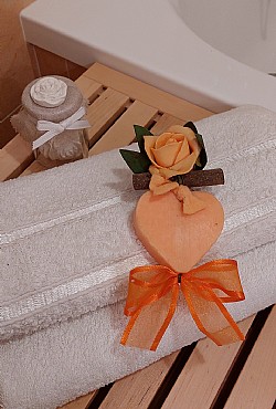 Ciasa Tamion - 