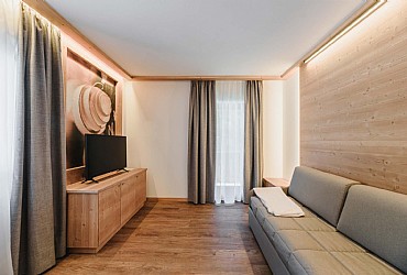 Appartamento a Campitello di Fassa - Contrin - ID foto 9026