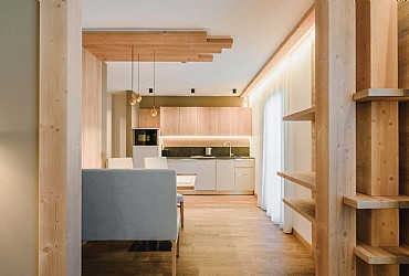 Appartamento a Campitello di Fassa - Contrin - ID foto 9027