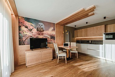 Appartamento a Campitello di Fassa - Boè/Antermoia - ID foto 9049