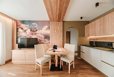 Appartamento a Campitello di Fassa - Boè/Antermoia - ID foto 9050