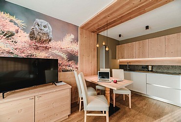 Appartamento a Campitello di Fassa - Boè/Antermoia - ID foto 9051