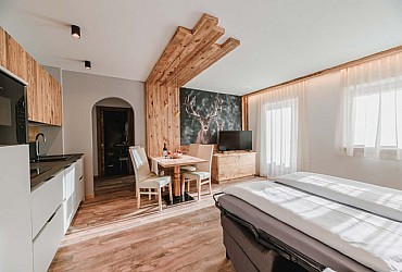 Wohnung - Campitello di Fassa - Boè/Antermoia - Photo ID 9055