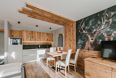 Wohnung - Campitello di Fassa - Boè/Antermoia - Photo ID 9059