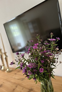 Apartamncie - Moena - La casa di montagna - Photo ID 9424