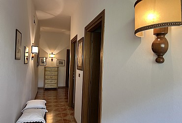 Wohnung - Moena - La casa classica - Photo ID 9474