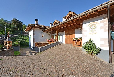 Wohnung - Masi di Cavalese - Außenansicht Sommer - Photo ID 151