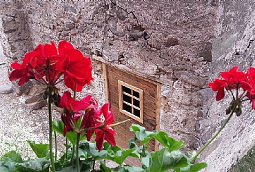 Apartment in Predazzo - Summer - Photo ID 281